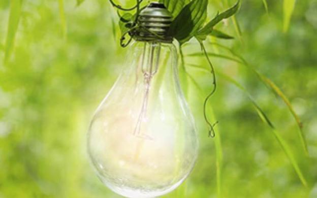 L'étiquette énergétique d'une ampoule